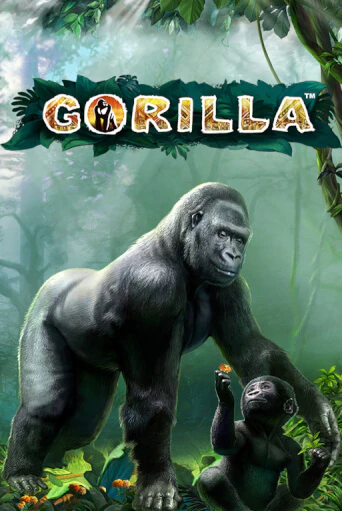 Играть Gorilla бесплатно онлайн (демо слот) | Азино 888